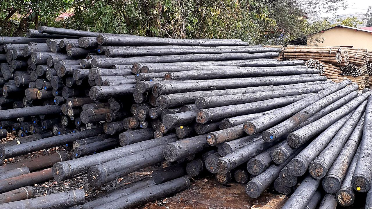 Treated timber poles in the TJ Group yard
