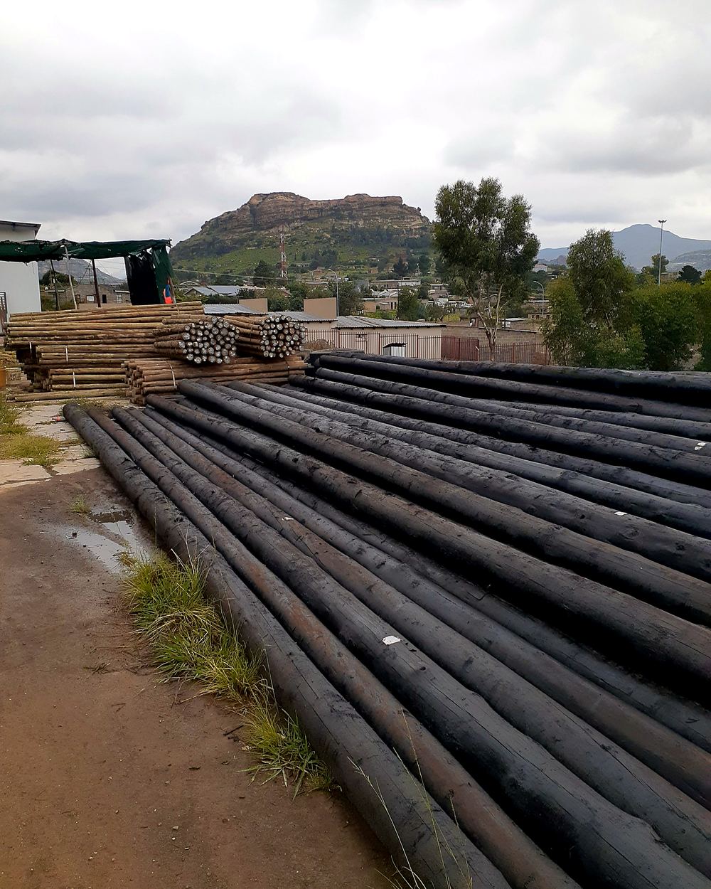 Treated poles at our Butha-Buthe yard