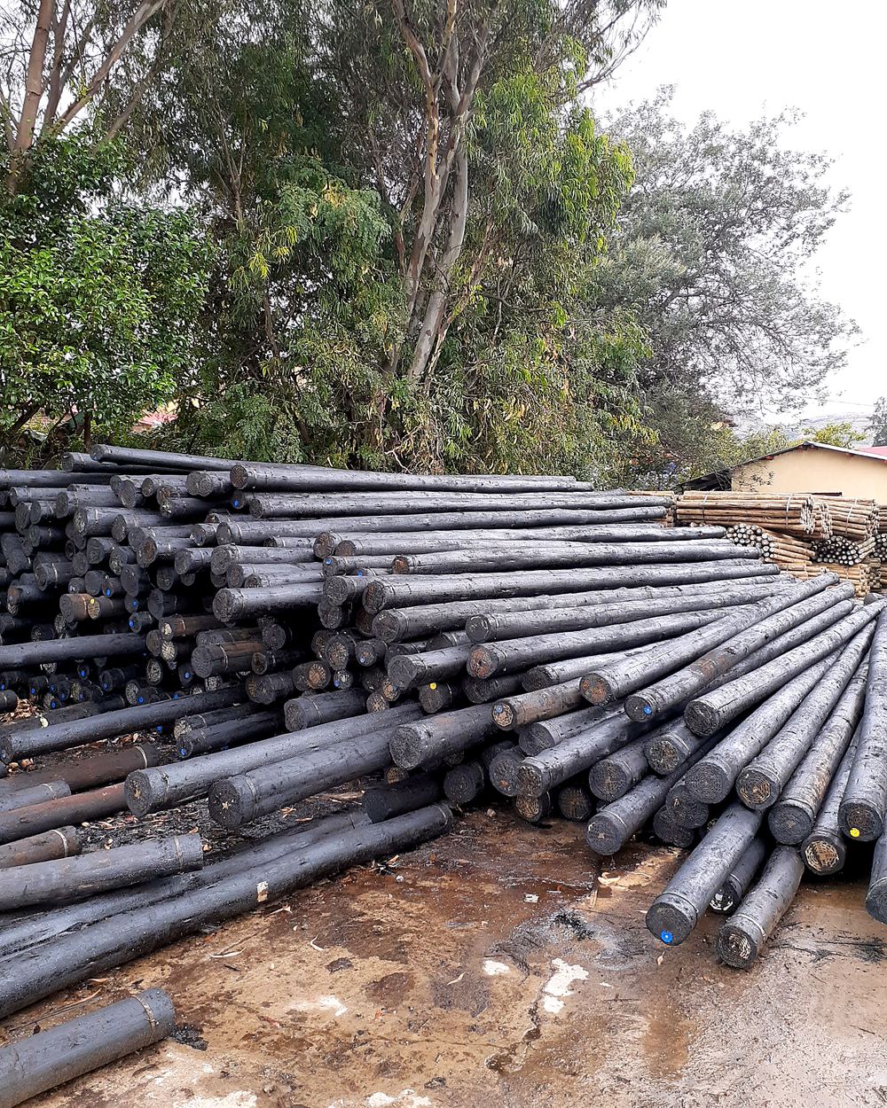 Pole stock ready for dispatch